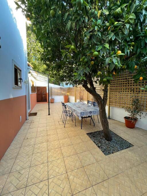 Appartement Casa Da Fonte à Condeixa-a-Velha Extérieur photo